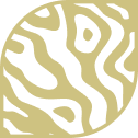 yellow-pattern