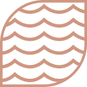 red-waves-vector